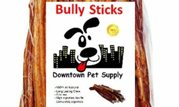 Read more about the article Downtown Pet Supply 6 inch Bully Sticks – Standard Regular Thick Select Dog Dental Chew Treats (30 Pack)