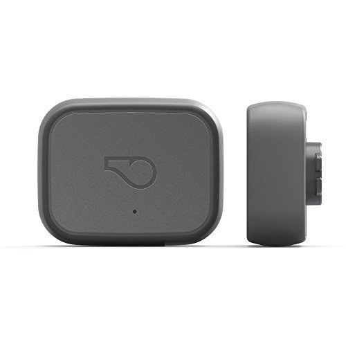 Read more about the article Whistle 3 GPS Pet Tracker & Activity Monitor