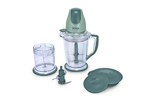 Read more about the article Ninja 400-Watt Blender/Food Processor for Frozen Blending, Chopping and Food Prep with 48-Ounce Pitcher and 16-Ounce Chopper Bowl (QB900B), Silver