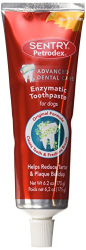Read more about the article Petrodex Enzymatic Toothpaste Dog Poultry Flavor, 6.2 oz