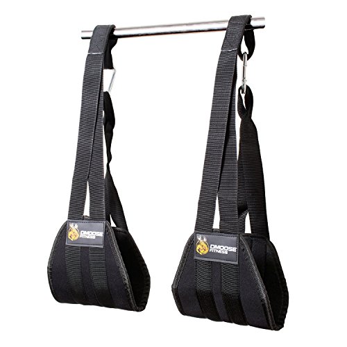 Read more about the article DMoose Fitness Ab Straps Six Pack Home Gym Exerciser – Double Strap Support and Stitching, Rip-Resistant Fabric, Longer & Thick Arm Padding – Premium Grade Abs Workout Equipment for Men & Women