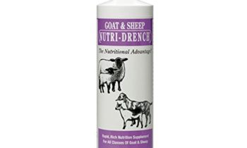 Read more about the article Nutri-Drench Goat & Sheep Nutrition Supplement 1 pint 16 oz