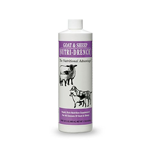 Read more about the article Nutri-Drench Goat & Sheep Nutrition Supplement 1 pint 16 oz