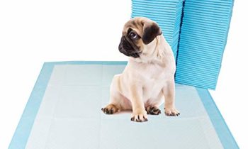 Read more about the article BV Pet Potty Training Pee Pads for Dog and Puppy, RapidDry Technology 22″ x 22″, 100-Count