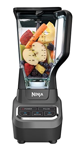 You are currently viewing Ninja Professional Blender (BL610)