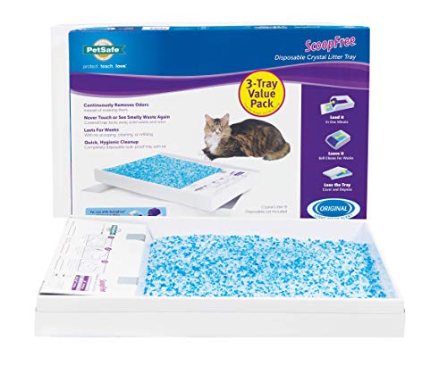 Read more about the article PetSafe ScoopFree Self-Cleaning Cat Litter Box Tray Refills, Non-Clumping Crystal Cat Litter, 3-Pack – PAC00-14231, Premium Blue Crystals