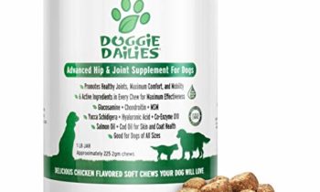 Read more about the article Doggie Dailies Glucosamine for Dogs: 225 Soft Chews, Advanced Hip & Joint Supplement for Dogs with Glucosamine, Chondroitin, MSM, Hyaluronic Acid & CoQ10, Premium Joint Relief for Dogs Made in the USA