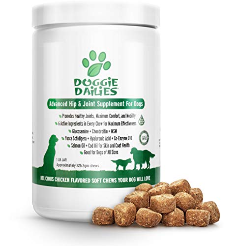 You are currently viewing Doggie Dailies Glucosamine for Dogs: 225 Soft Chews, Advanced Hip & Joint Supplement for Dogs with Glucosamine, Chondroitin, MSM, Hyaluronic Acid & CoQ10, Premium Joint Relief for Dogs Made in the USA