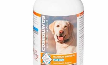 Read more about the article Cosequin DS Plus MSM Maximum Strength Chewable Tablets (250 Count)