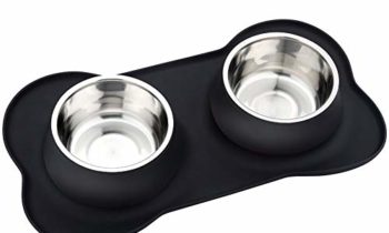 Read more about the article URPOWER Dog Bowls Stainless Steel Dog Bowl with No Spill Non-Skid Silicone Mat 53 oz Feeder Bowls Pet Bowl for Dogs Cats and Pets