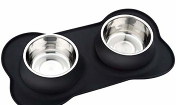 Read more about the article URPOWER Dog Bowls Stainless Steel Dog Bowl with No Spill Non-Skid Silicone Mat 53 oz Feeder Bowls Pet Bowl for Dogs Cats and Pets