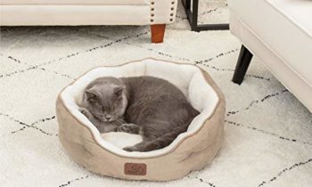 Read more about the article Bedsure Cat Bed for Indoor Cats, 20 inch Dog Bed & Cat Bed, Round Pet Beds for Indoor Cats or Small Dogs, Machine Washable Super Soft & Plush Flannel Pet Supplies, Slip-Resistant Oxford Bottom,Camel