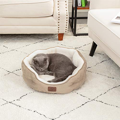 Read more about the article Bedsure Cat Bed for Indoor Cats, 20 inch Dog Bed & Cat Bed, Round Pet Beds for Indoor Cats or Small Dogs, Machine Washable Super Soft & Plush Flannel Pet Supplies, Slip-Resistant Oxford Bottom,Camel