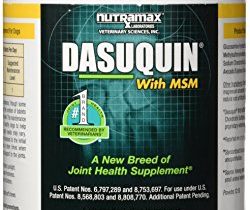 Read more about the article Nutramax Dasuquin with MSM Chewables, Large Dog, 150 Count