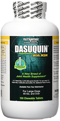 You are currently viewing Nutramax Dasuquin with MSM Chewables, Large Dog, 150 Count