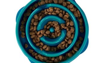 Read more about the article Dog Games Outward Hound Fun Feeder Mini Drop Teal
