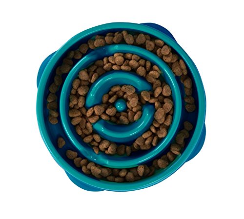 Read more about the article Dog Games Outward Hound Fun Feeder Mini Drop Teal