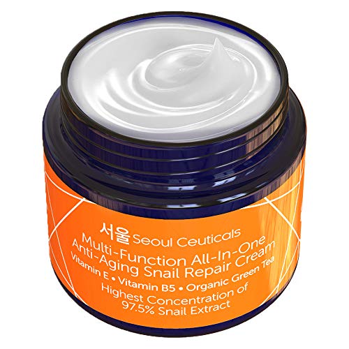 You are currently viewing Korean Skin Care Snail Repair Cream – Korean Moisturizer Night Cream 97.5% Snail Mucin Extract – All In One Recovery Power For The Most Effective Korean Beauty Routine – 2oz