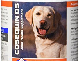 Read more about the article Nutramax Cosequin DS Plus with MSM Chewable Tablets, 132 Count