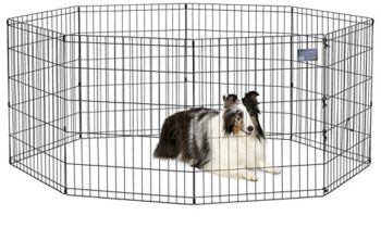 Read more about the article MidWest Foldable Metal Exercise Pen / Pet Playpen, 24″W x 30″H