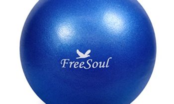 Read more about the article FreeSouls 9 Inch Mini Exercise Ball Small Fitness Equipment Ball with Pump for Yoga Pilates Physical Therapy Core Training