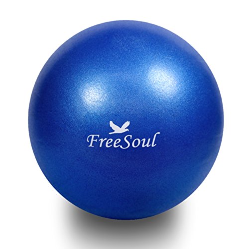 You are currently viewing FreeSouls 9 Inch Mini Exercise Ball Small Fitness Equipment Ball with Pump for Yoga Pilates Physical Therapy Core Training