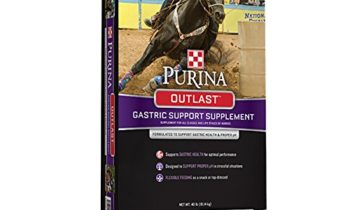 Read more about the article Purina Animal Nutrition Outlast Gastric Support Supplement 40LB
