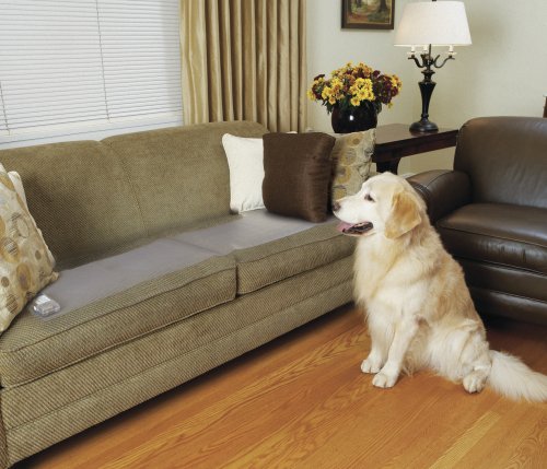 Read more about the article PetSafe ScatMat Indoor Pet Training Mat for Dogs and Cats, Sofa Size, 12 X 60 inch, Pet Proof Your Home, Electronic Training Mat
