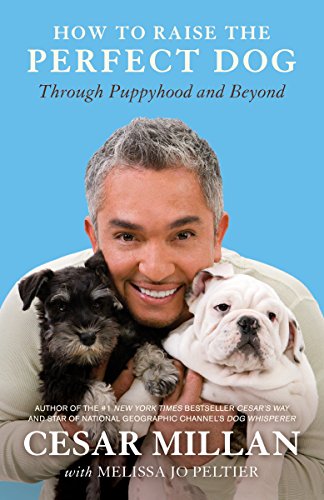 Read more about the article How to Raise the Perfect Dog: Through Puppyhood and Beyond