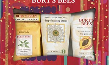 Read more about the article Burt’s Bees Face Essentials Holiday Gift Set, 4 Skin Care Products – Cleansing Towelettes, Deep Cleansing Cream, Deep Pore Scrub And Lip Balm