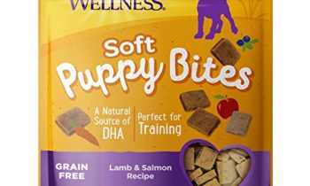 Read more about the article Wellness Soft Puppy Bites Natural Grain Free Puppy Training Treats, Lamb & Salmon, 3-Ounce Bag