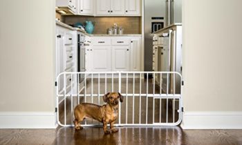 Read more about the article Carlson Lil Tuffy Metal Expandable Gate
