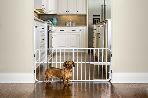 You are currently viewing Carlson Lil Tuffy Metal Expandable Gate