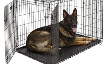 Read more about the article XL Dog Crate | MidWest iCrate Double Door Folding Metal Dog Crate w/Divider Panel, Floor Protecting Feet & Leak-Proof Dog Tray | 48L x 30W x 33H Inches, XL Dog Breed, Black