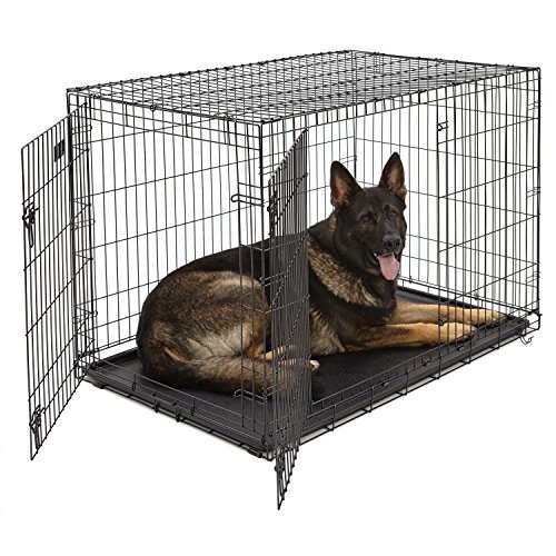 You are currently viewing XL Dog Crate | MidWest iCrate Double Door Folding Metal Dog Crate w/Divider Panel, Floor Protecting Feet & Leak-Proof Dog Tray | 48L x 30W x 33H Inches, XL Dog Breed, Black