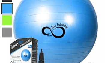 Read more about the article Exercise Ball -Professional Grade Exercise Equipment Anti Burst Tested with Hand Pump- Supports 2200lbs- Includes Workout Guide Access- 55cm/65cm/75cm/85cm Balance Balls (Bright Blue, 65 cm)
