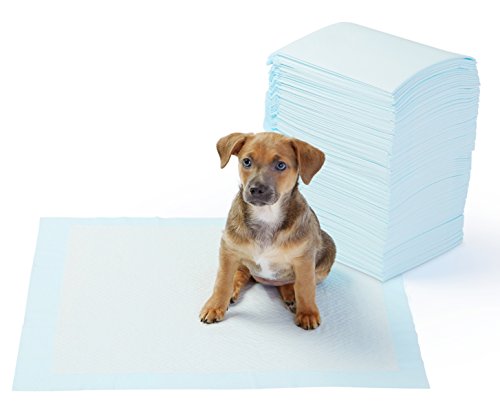 You are currently viewing AmazonBasics Pet Training and Puppy Pads, Regular – 100-Count
