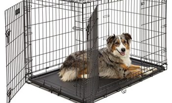 Read more about the article Large Dog Crate | MidWest iCrate Double Door Folding Metal Dog Crate | Divider Panel, Floor Protecting Feet, Leak-Proof Dog Tray | 42L x 28W x 30H Inches, Large Dog, Black