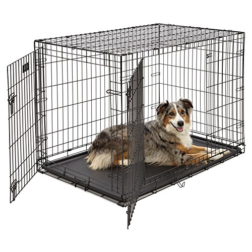 You are currently viewing Large Dog Crate | MidWest iCrate Double Door Folding Metal Dog Crate | Divider Panel, Floor Protecting Feet, Leak-Proof Dog Tray | 42L x 28W x 30H Inches, Large Dog, Black