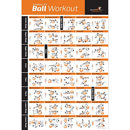You are currently viewing Exercise Ball Poster Laminated – Total Body Workout – Personal Trainer Fitness Program – Swiss, Yoga, Balance & Stability Ball Home Gym Poster – Tone Your Core, Abs, Legs Gluts & Upper Body – 20″x30″