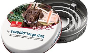 Read more about the article Bayer Seresto Flea and Tick Collar for Large Dogs, 8 Month Protection