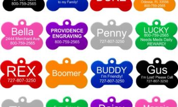 Read more about the article Providence Engraving Aluminum Pet ID Tags for Cat and Dog