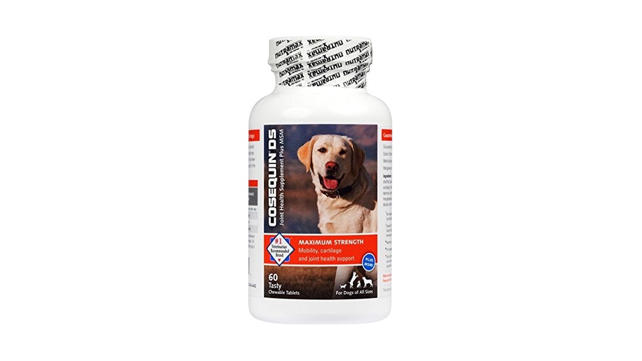 Read more about the article Cosequin DS Plus MSM Review
