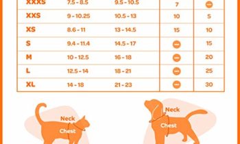Read more about the article Voyager Step-in Air Dog Harness – All Weather Mesh, Step in Vest Harness for Small and Medium Dogs by Best Pet Supplies – Pink (Matching Trim), S (Chest: 14.5-17″) (207T-PKW-S)