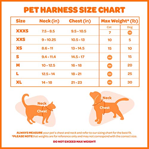 Read more about the article Voyager Step-in Air Dog Harness – All Weather Mesh, Step in Vest Harness for Small and Medium Dogs by Best Pet Supplies – Pink (Matching Trim), S (Chest: 14.5-17″) (207T-PKW-S)