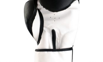 Read more about the article Revgear 10500 BLK 16 – OZ Pro Leather Training Glove