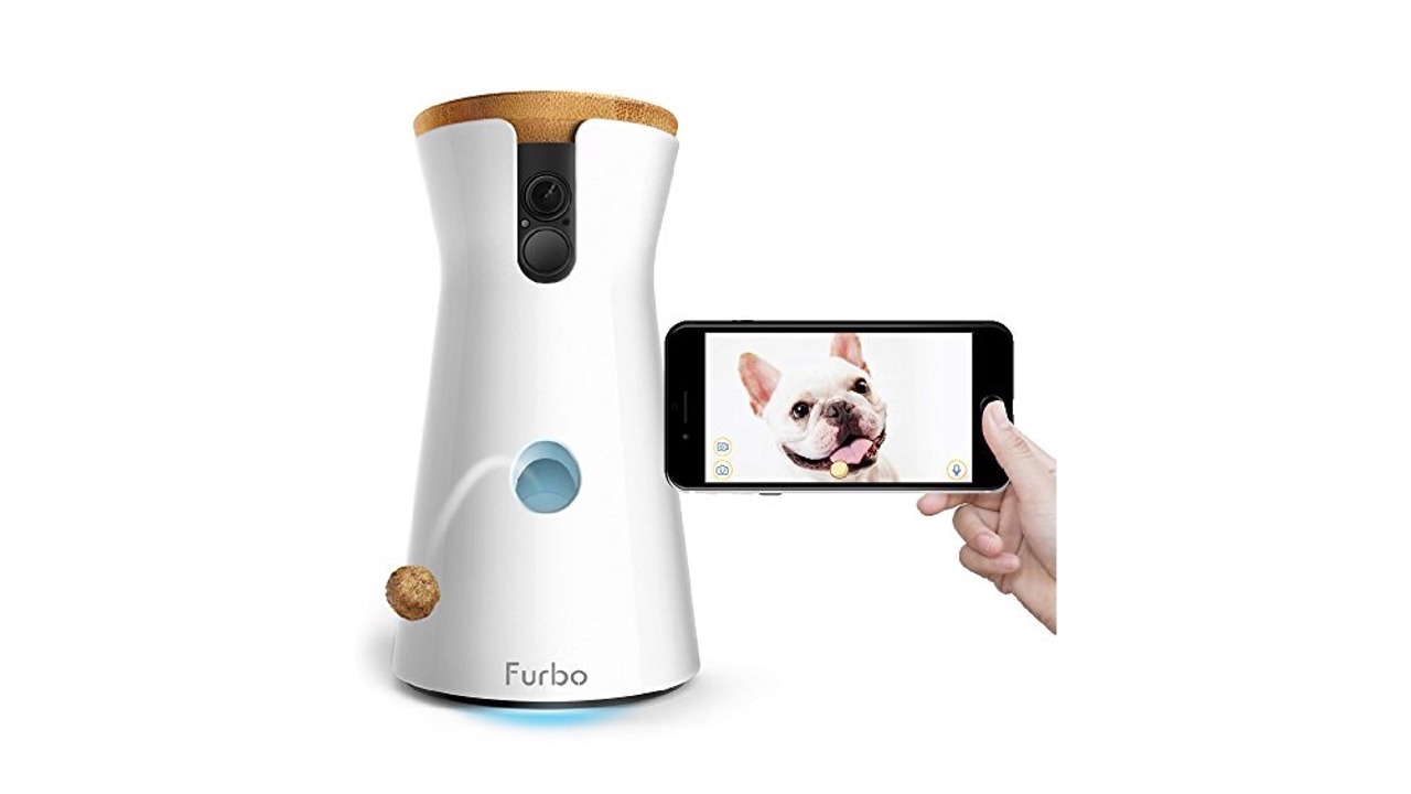 You are currently viewing Furbo Dog Camera Review & Ratings