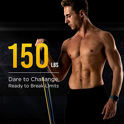 You are currently viewing FITFORT Resistance Bands Set Exercise Bands – Workout Bands Stackable up to 150lb, Indoor/Outdoor Fitness Bands with Door Anchor & Handles for Strength, Slim, Yoga, Home Gym Equipment for Men/Women