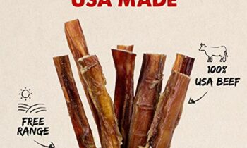 Read more about the article Downtown Pet Supply 6 Inch American Bully Sticks for Dogs Made in USA – Odorless Dog Dental Chew Treats, High in Protein, Alternative to Rawhides (6 Inch, 10 Pack)
