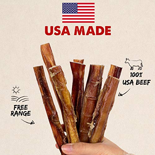 Read more about the article Downtown Pet Supply 6 Inch American Bully Sticks for Dogs Made in USA – Odorless Dog Dental Chew Treats, High in Protein, Alternative to Rawhides (6 Inch, 10 Pack)
